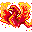 Insignia