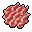 Insignia