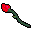 Insignia